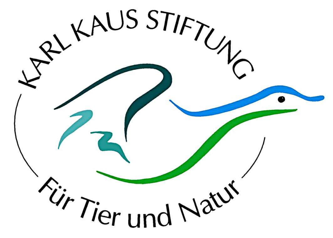 Logo KARL KAUS STIFTUNG